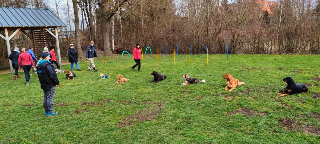 Hundeschule Kalte Schnauze