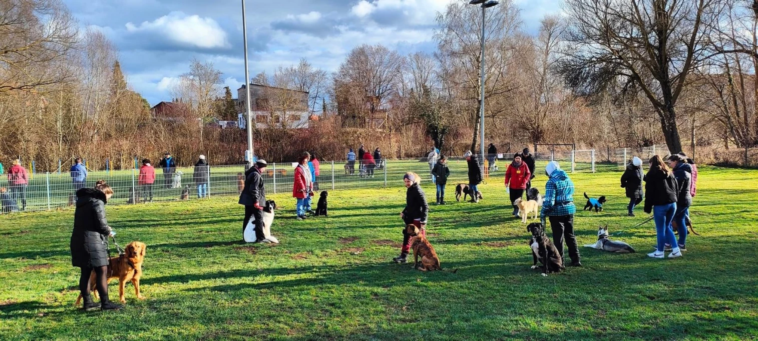 Hundeschule Kalte Schnauze