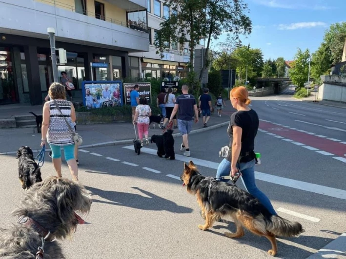 Hundeschule Kalte Schnauze